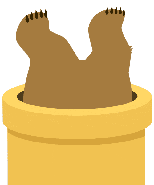 TunnelBear loading