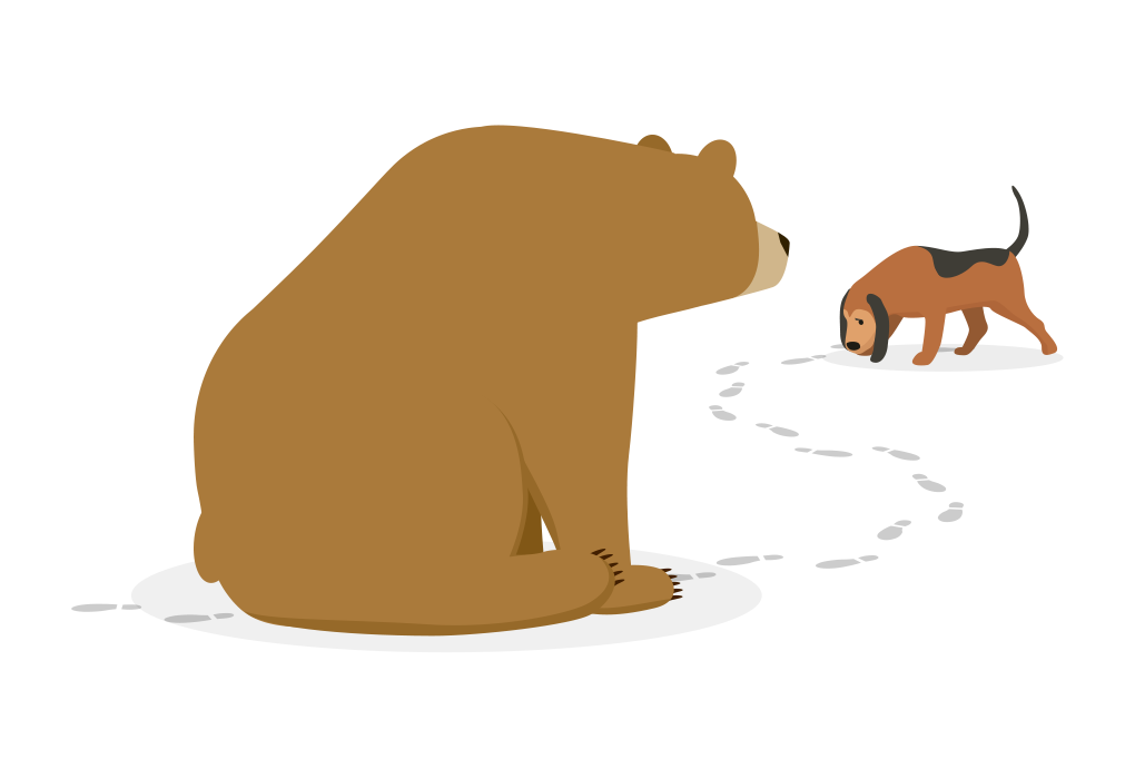 VigilantBear